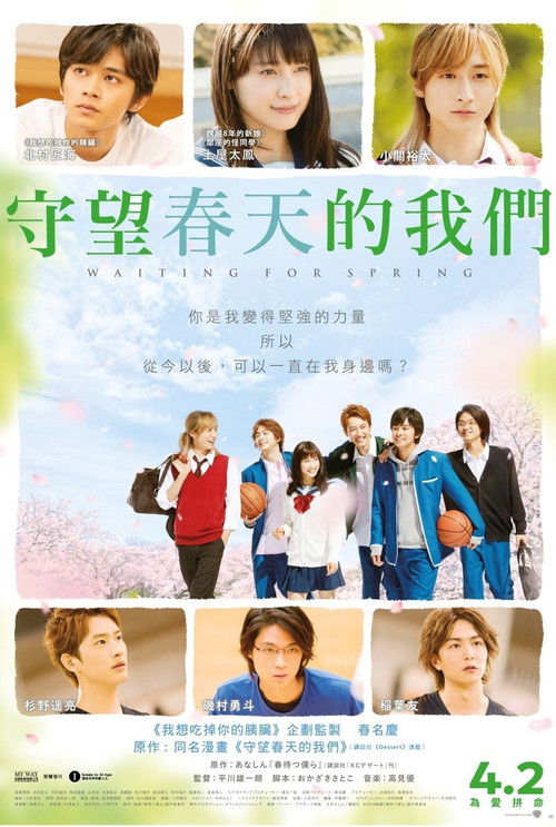 守望春天的我们(2018)海报