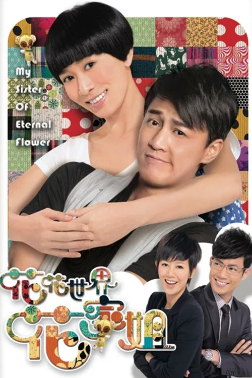 花花世界花家姐(2011)海报