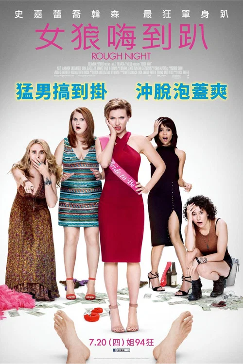 仓皇一夜(2017)海报