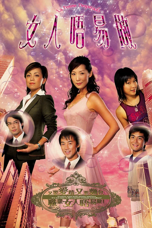 女人不易做国语(2006)海报