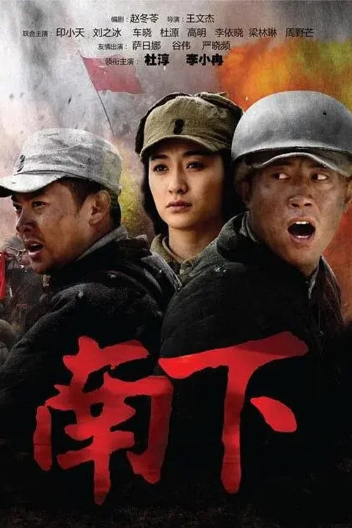 南下(2010)海报