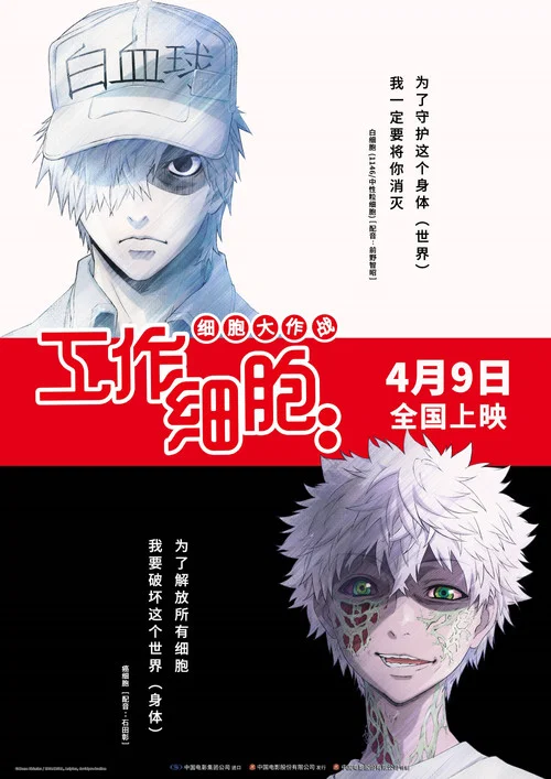 工作细胞:细胞大作战剧照14