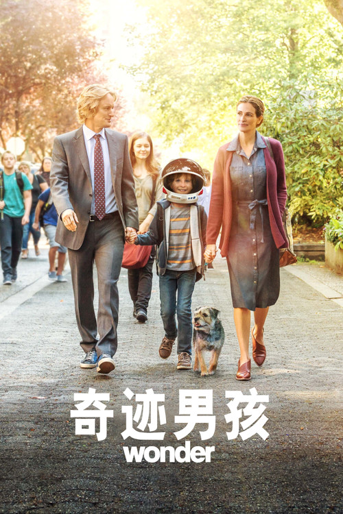奇迹男孩(2017)海报