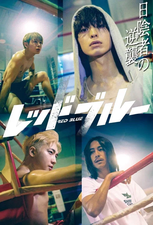 红蓝(2024)海报