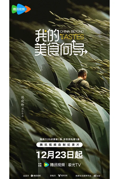 我的美食向导剧照4