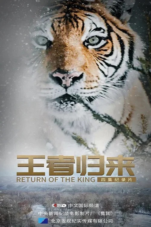 王者归来(2020)海报