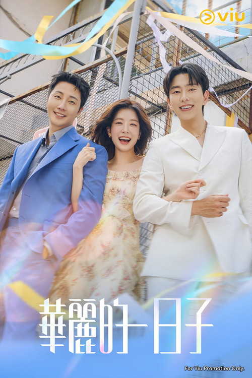 华丽的日子(2025)海报