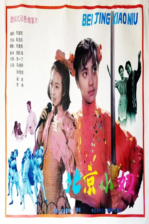 北京小妞(1991)海报