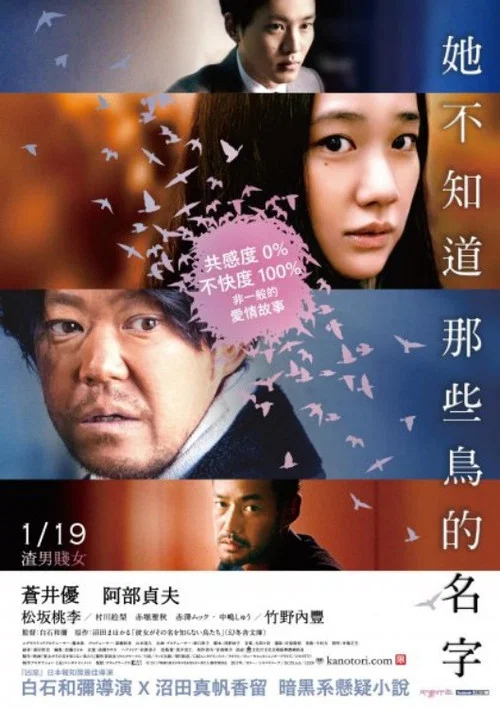 她不知道名字的那些鸟儿剧照2