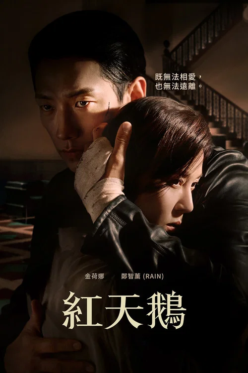 红天鹅(2024)海报