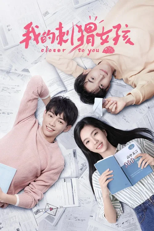 我的刺猬女孩(2020)海报