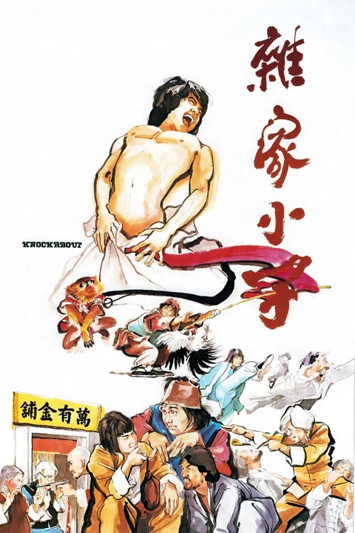 杂家小子剧照2