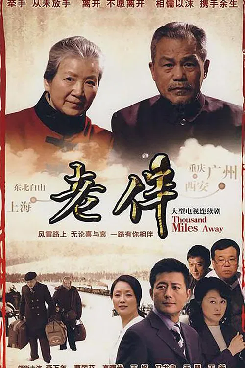 老伴(2007)海报