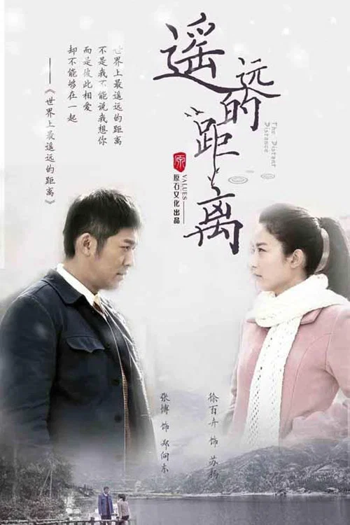 遥远的距离(2016)海报
