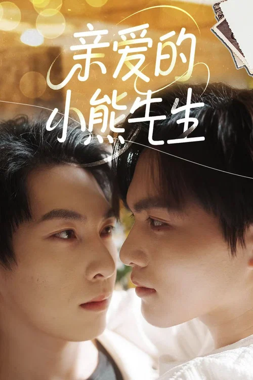 亲爱的小熊先生(2026)海报
