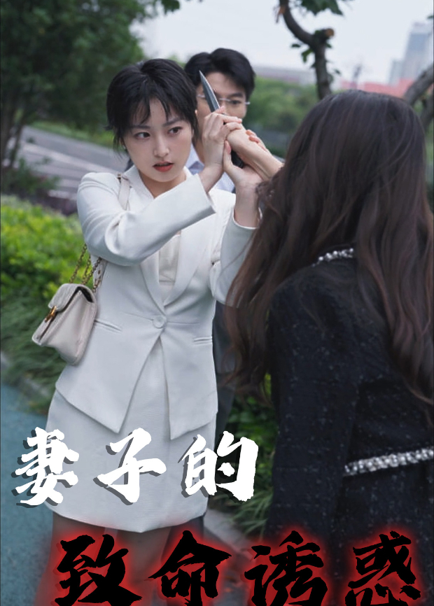 妻子的致命诱惑海报