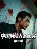 中国刑侦大案纪实第二季(2001)海报