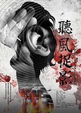 听风捉影(2014)海报