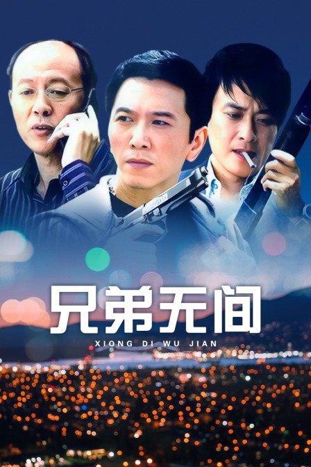 兄弟无间(2009)海报