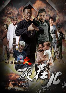 岭城兄弟情(2016)海报