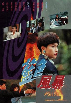 蓝色风暴粤语(1991)海报