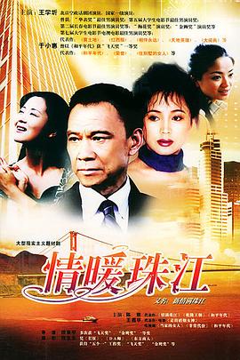 情暖珠江(2004)海报