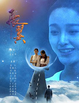 展翼2(2021)海报