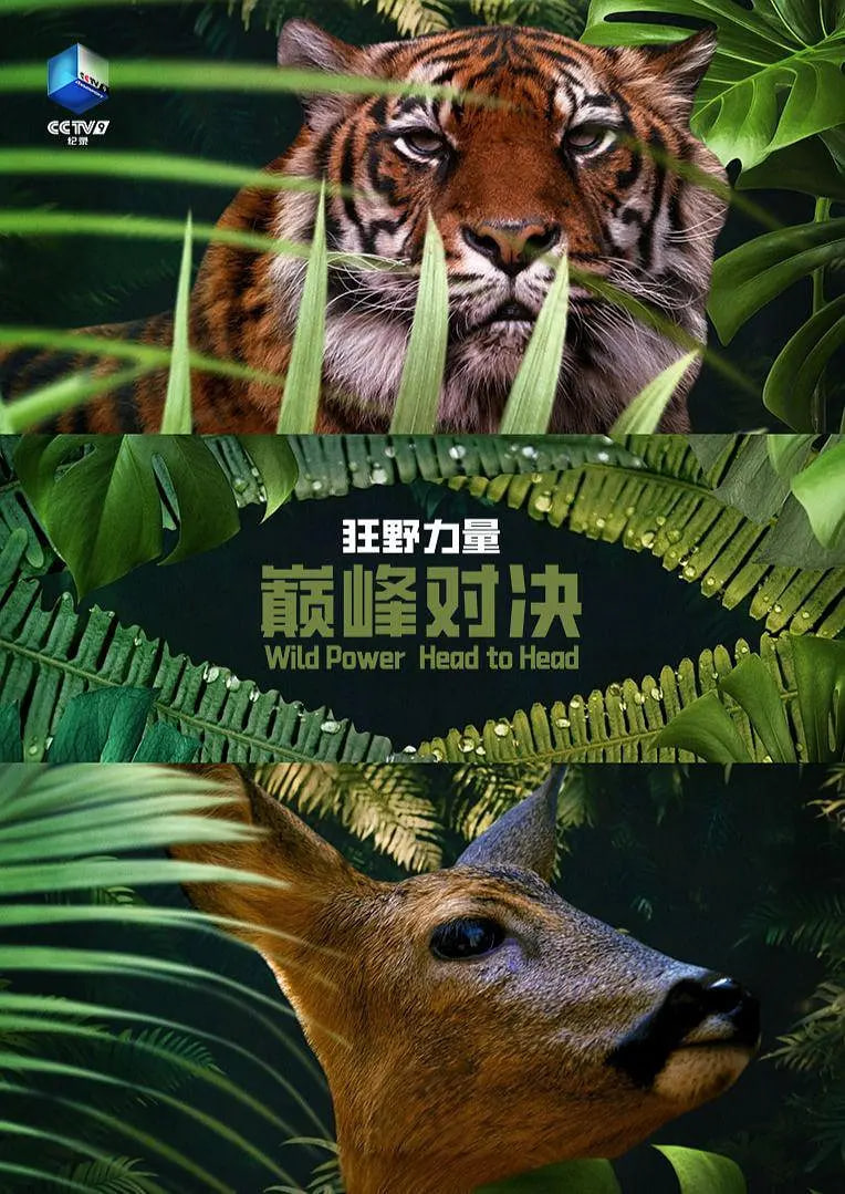 狂野的力量:巅峰对决 第一季(2026)海报