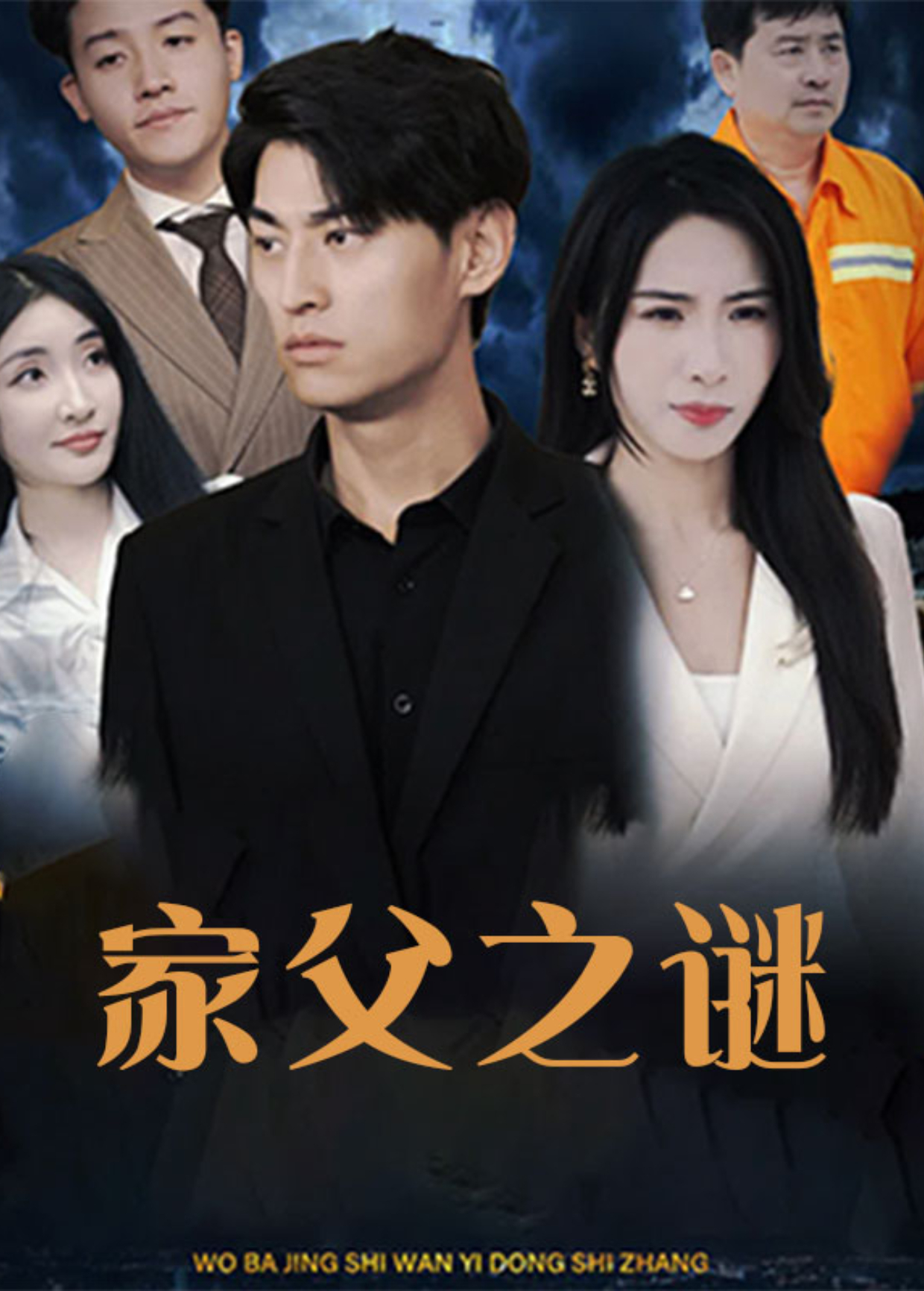 家父之谜海报