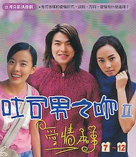 吐司男之吻2(2004)海报