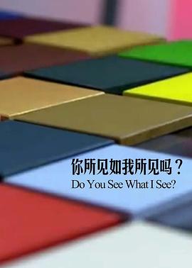 你所见如我所见吗(2016)海报