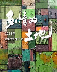 2024多情的土地(2024)海报