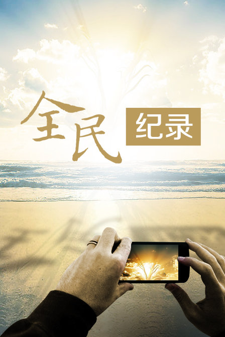 全民纪录(2013)海报