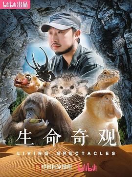 生命奇观(2024)海报