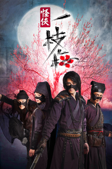怪侠一枝梅(2010)海报