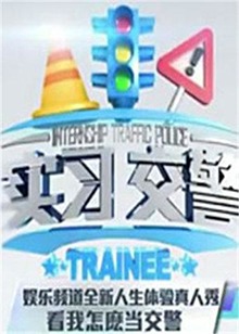 实习交警(2012)海报
