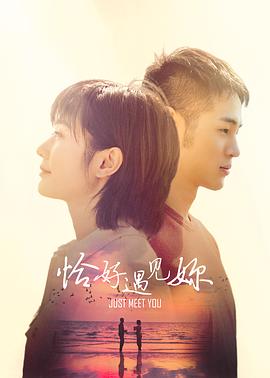 恰好遇见你2021(2022)海报