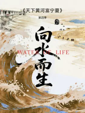 天下黄河富宁夏 第四季(2026)海报