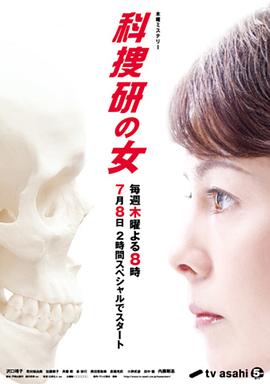 科搜研之女第10季(2010)海报