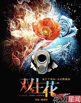 双生花2014(2014)海报