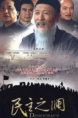 民主之澜(2010)海报