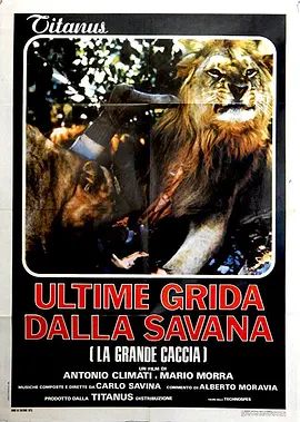 裸露残酷写真(1974)海报