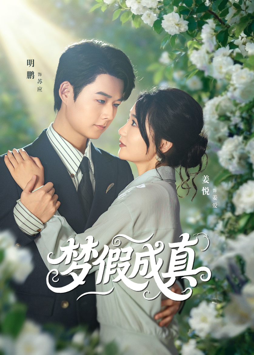 梦假成真海报