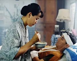 无言的旅程(1996)海报