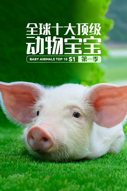 全球十大顶级动物宝宝第一季(2023)海报