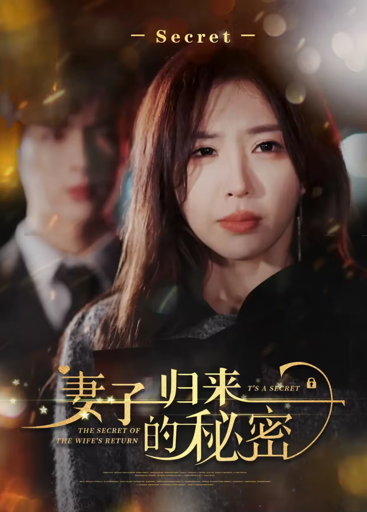 妻子归来的秘密海报
