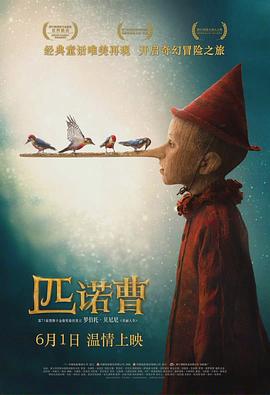 匹诺曹(国语)(2019)海报