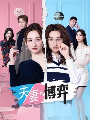 夫妻的博弈(普通话)(2026)海报