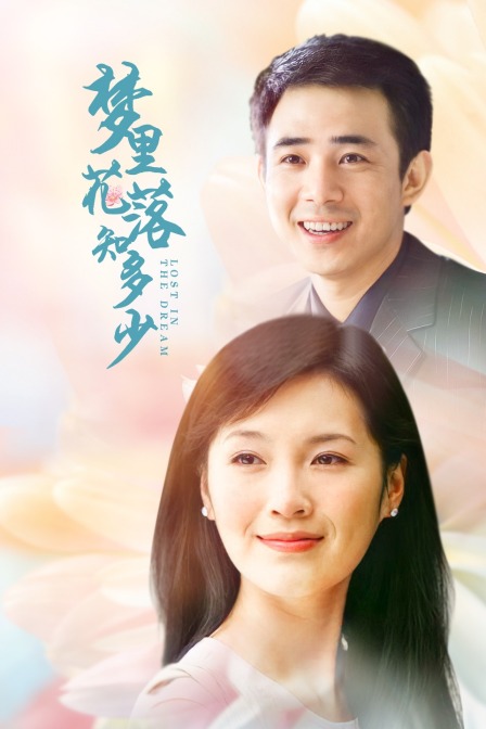 梦里花落知多少(2008)海报
