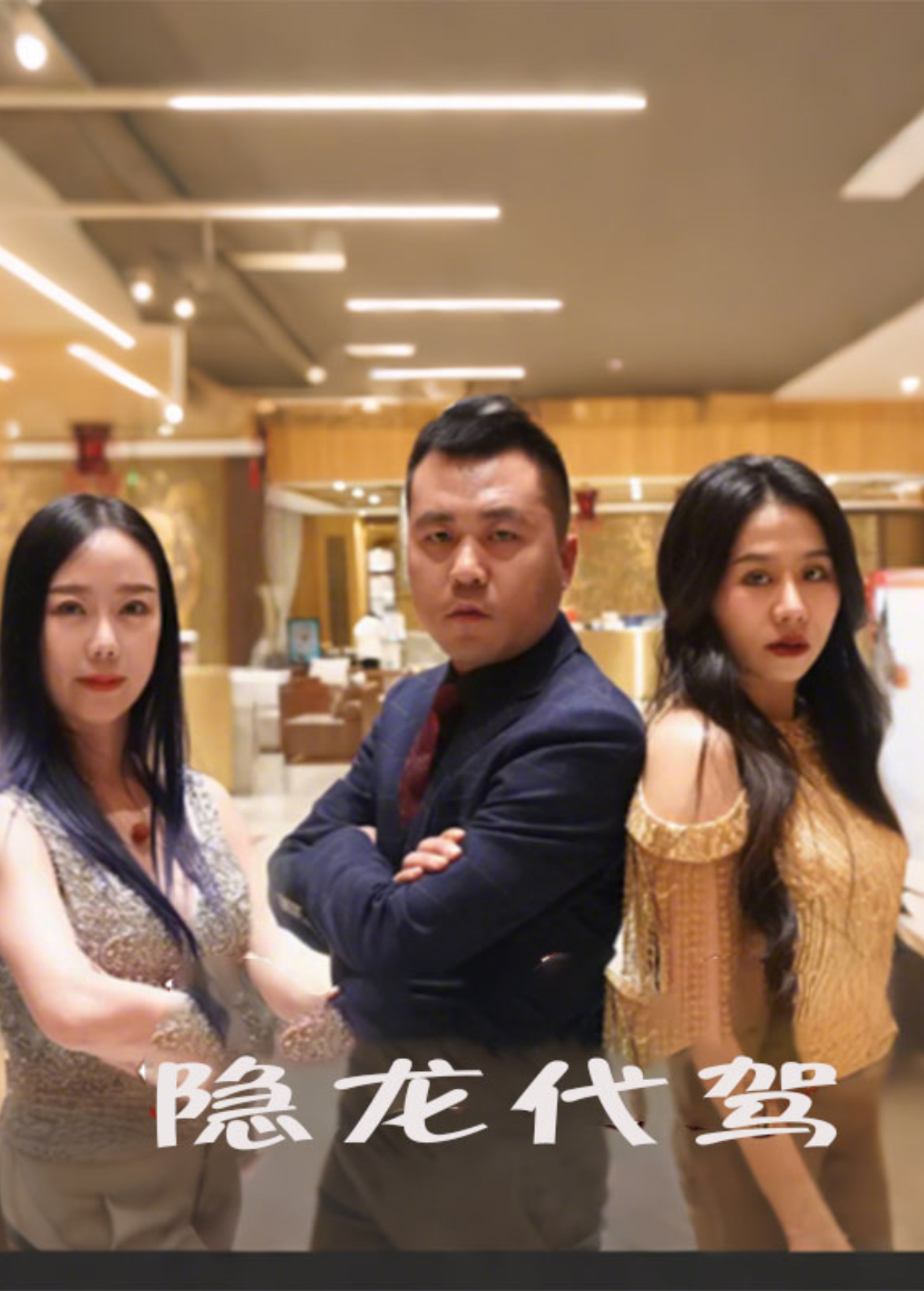 隐龙代驾海报